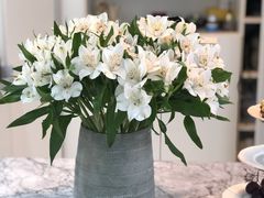 -至尚形象·化妆服饰搭配礼仪培训