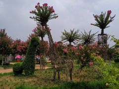 -武汉紫薇都市田园