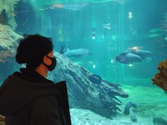 -华夏文旅海洋公园