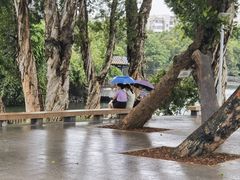 -荔湾湖公园