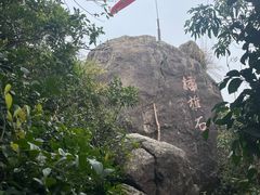 -东莞市大岭山森林公园