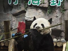 -栾川竹海野生动物园