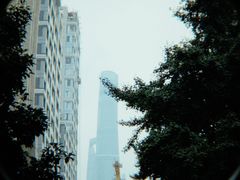 -上海白云观