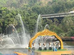 -西双版纳原始森林公园