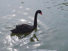 -中国农业博物馆