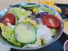 -DM CHICKEN 分米鸡