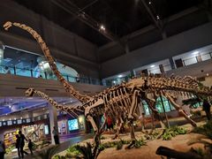 -自贡恐龙博物馆