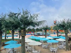 -秦皇岛乐岛海洋王国