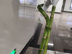 -IKEA宜家家居(南京商场)