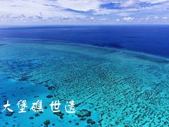 -黄金海岸