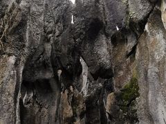 -泥凼石林风景区