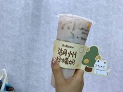 -猫的魔法密林(衣裳街店)
