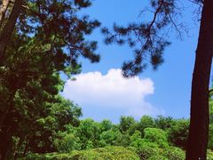 -南京枫彩漫城