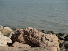 -深圳湾公园(南山区)