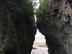 -鹅銮鼻公园
