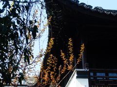 -衣裳街历史文化街区