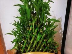 -麦子MaiMassage(打浦桥店)