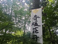 -大金鹰园