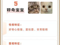 -爱侣宠医·鹦鹉专科·小型哺乳类·异宠专科(灵石路店)