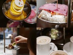 -广州奥园喜来登酒店