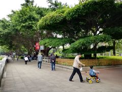 -光明港公园