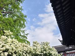 -常熟方塔园