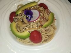 -猫小院猫主题咖啡厅(北锣店)