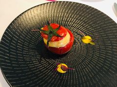 -蝶舍·MAISON PAPILLON