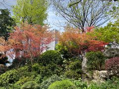 -静安公园(静安寺街道)