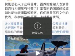 -上海海昌海洋公园