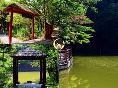 -洛阳白云山景区