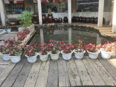 -天怡·鱼工厂(梅溪湖店)