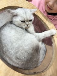 -Moni星球萌宠·小马宝莉·灵蛇·高端高阶全萌宠互动体验俱乐部(红豆国际广场店)