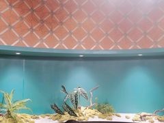 -五星桥原切肥牛火锅(怀德桥店)