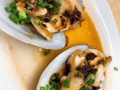 象牙蚌-新金盛·海鲜酒楼(盐田店)