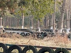 -东平国家森林公园
