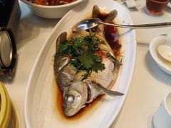 -北国之春国宴(乌兰察布店)