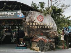 -海南槟榔谷黎苗文化旅游区