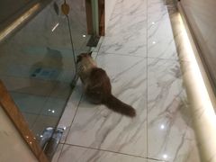 -董小姐咖妃·咖啡·简餐.意面(松江大学城店)