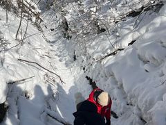 -峡谷浮石林景区