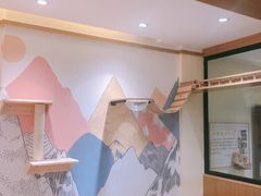 -滚猫咖啡·猫咖·猫友好撸猫(未来城店)
