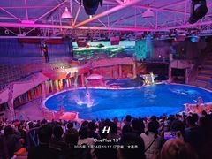 -大连圣亚海洋世界