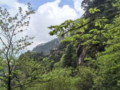 -九华山风景区