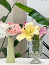 -安琪朵朵独栋花园月子中心