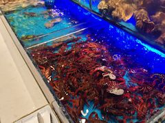 -SEA西雅图海鲜自助餐厅(海乐世界店)