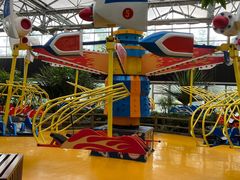 -南宫五洲植物乐园