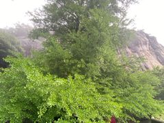 -大慈岩风景区