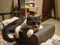 -畜牧兽医站(共江路店)