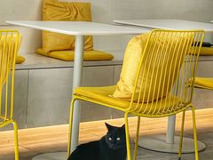 -五进制 Coffee Shop