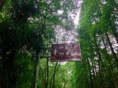 -峨眉山报国寺